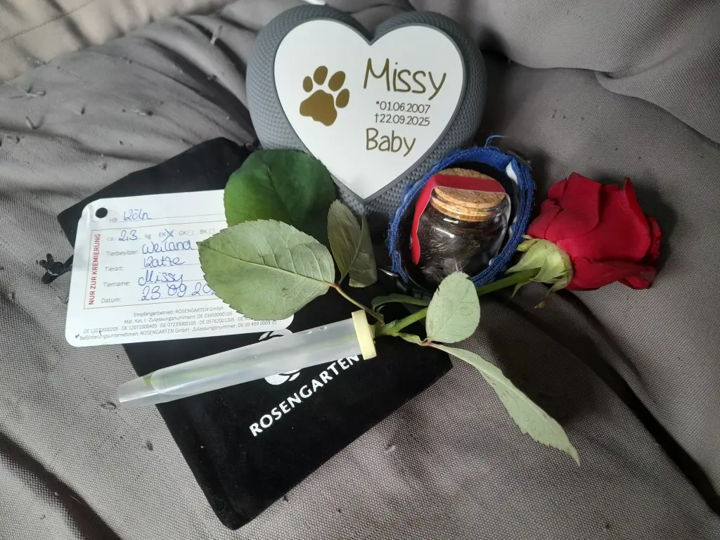 Das war dein Platz die Lounge...