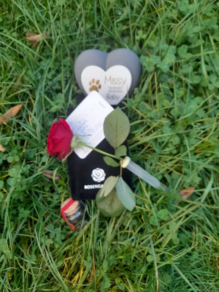 ...der Garten manchmal warst du sogar eine kleine Ausreißerein