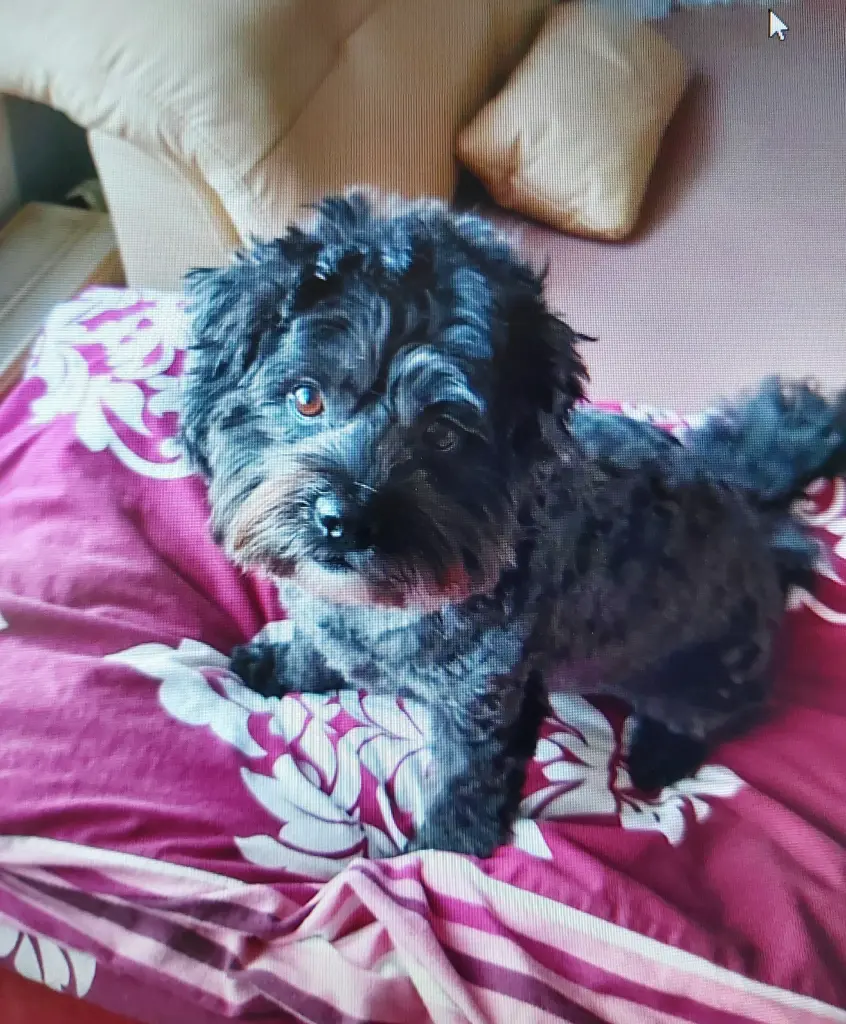 Andachtsbild von Katja mit Basti