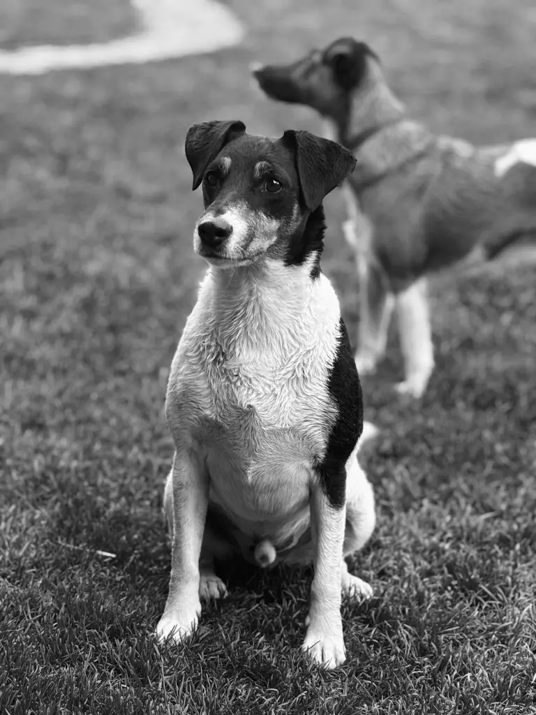 Andachtsbild von Lucia