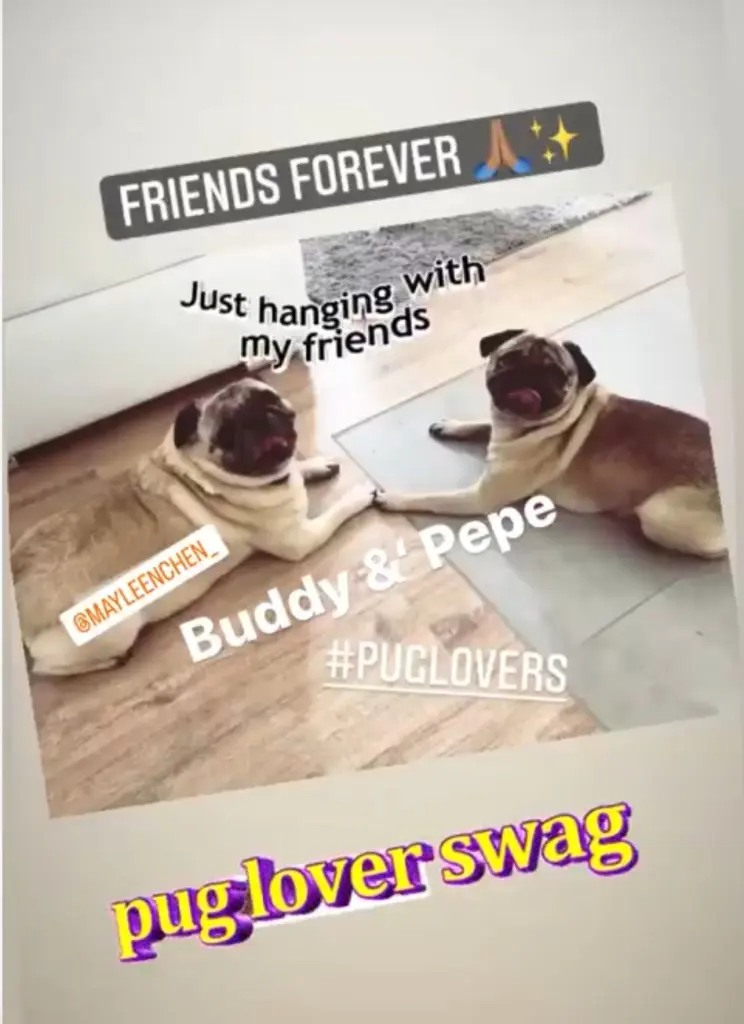 Andachtsbild von Sharly mit Pepe