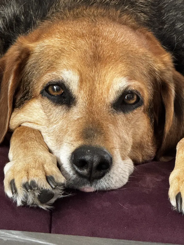 Andachtsbild von Jeniffer