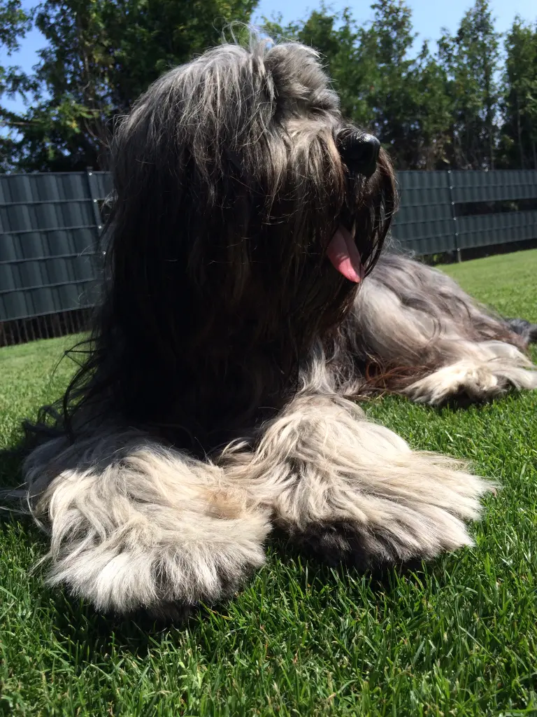 Bild von Anna Samantha