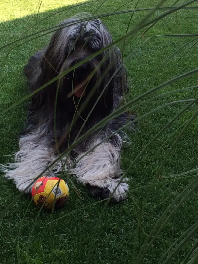 Bild von Anna Samantha