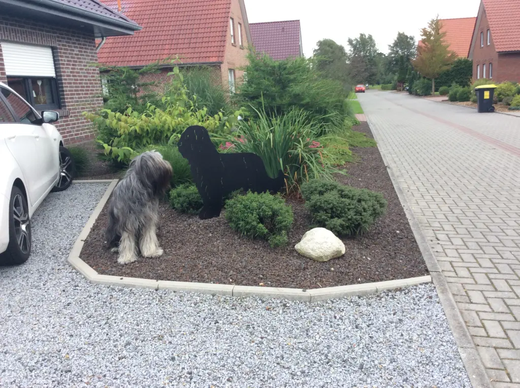 Bild von Anna Samantha