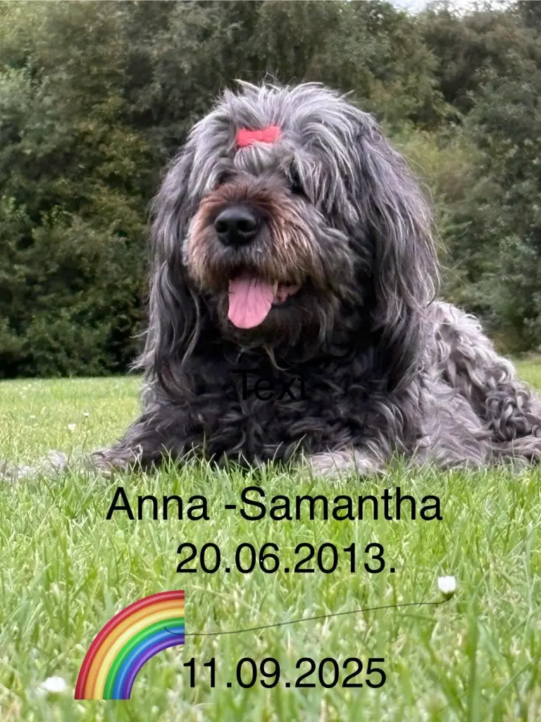 Bild von Anna Samantha