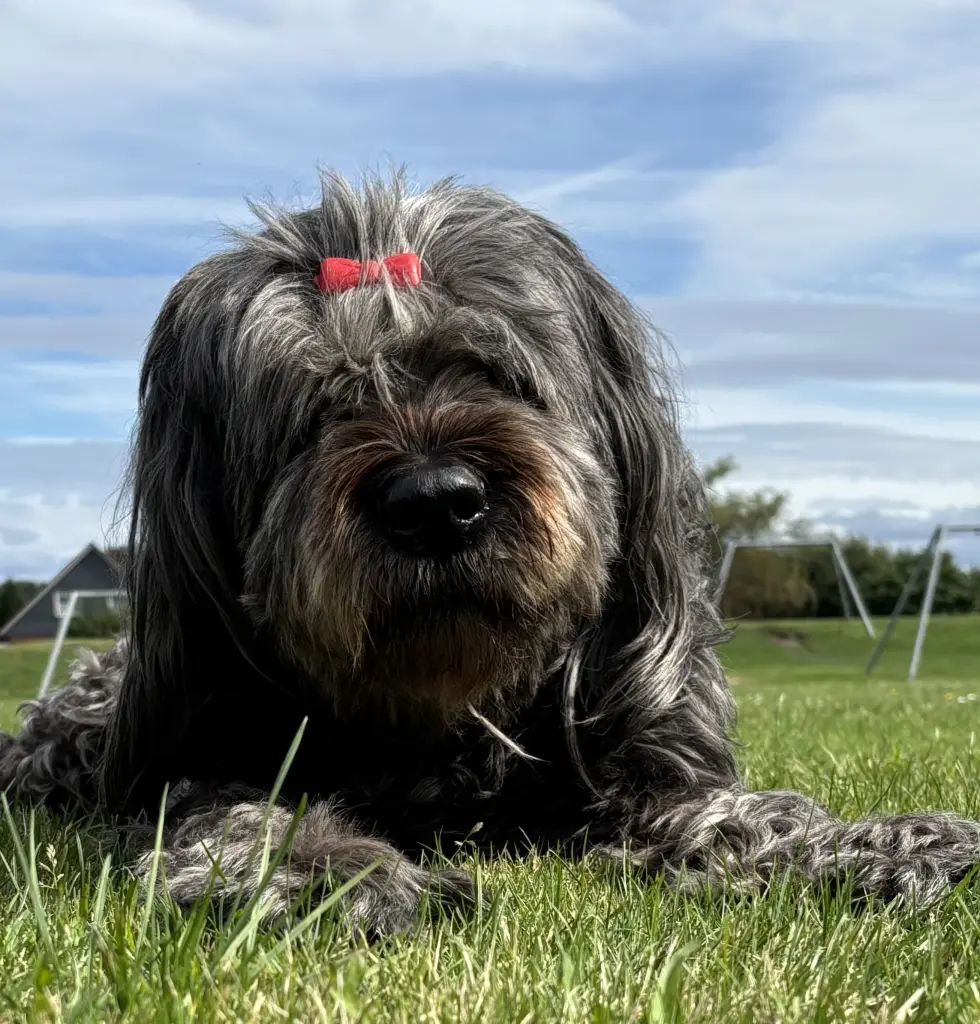 Bild von Anna Samantha