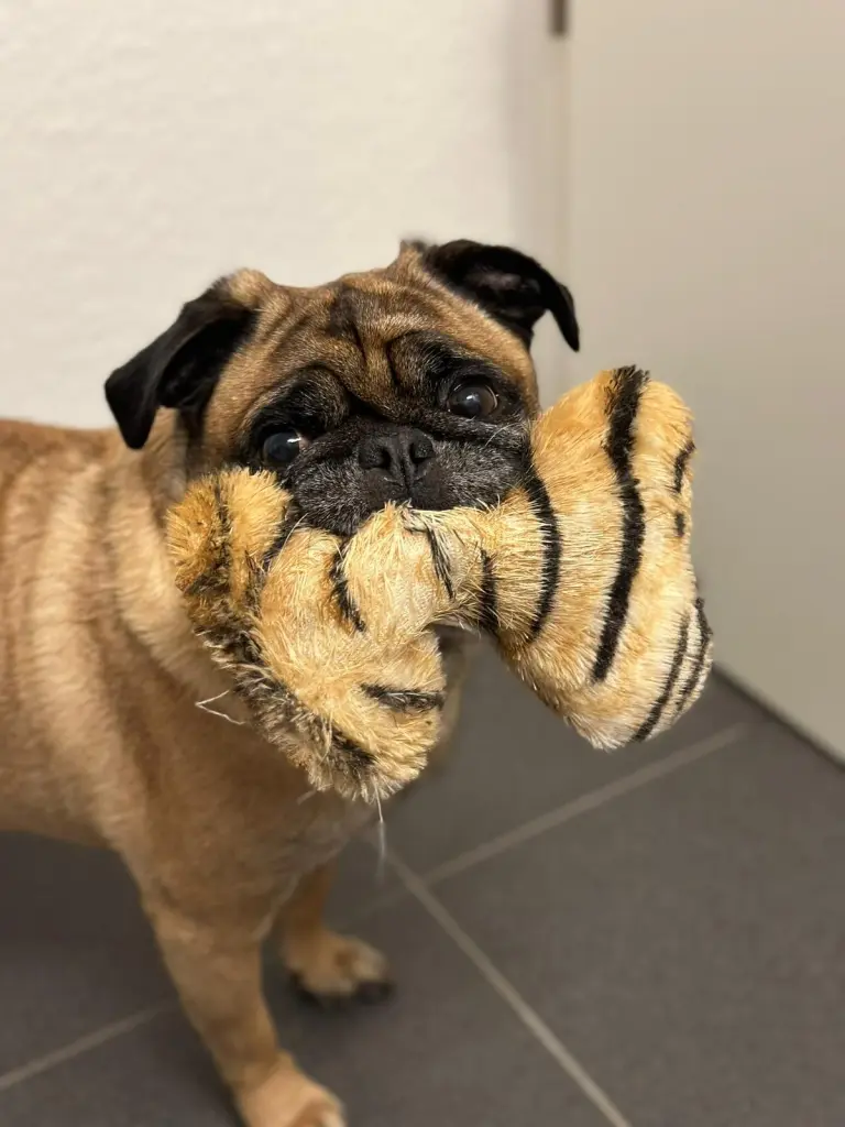 Andachtsbild von Marcel