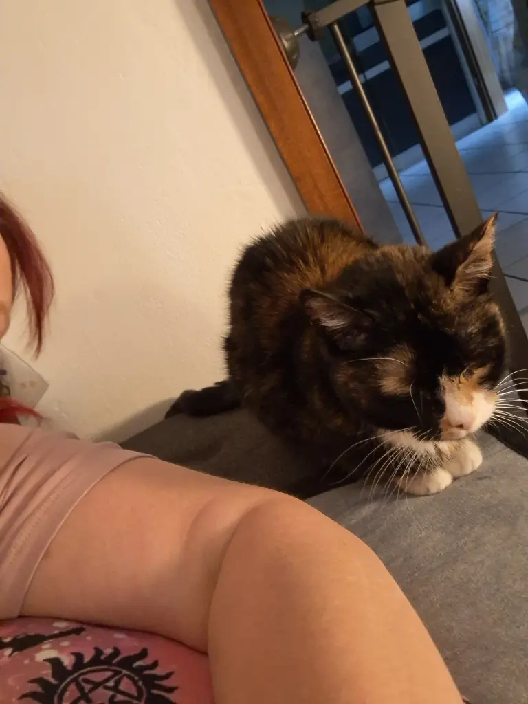 Andachtsbild von Tina