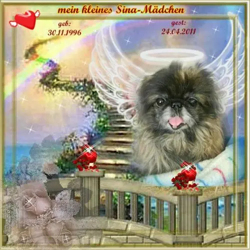 Image from mein kleines Sina-Mädchen
