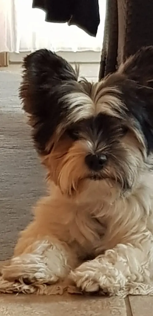 Andachtsbild von Jürgen Kiefer