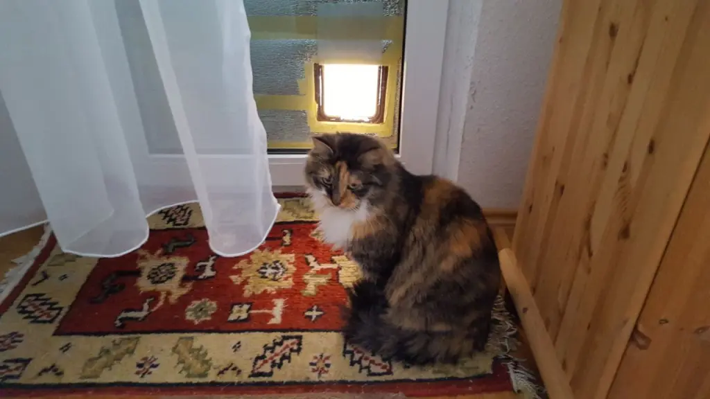 Condolence image of Rosemarie mit Minnie im Herzen