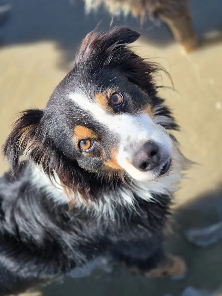 Andachtsbild von Angelina Vogel