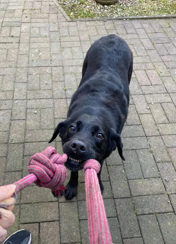 Andachtsbild von Ayleen Reinhold