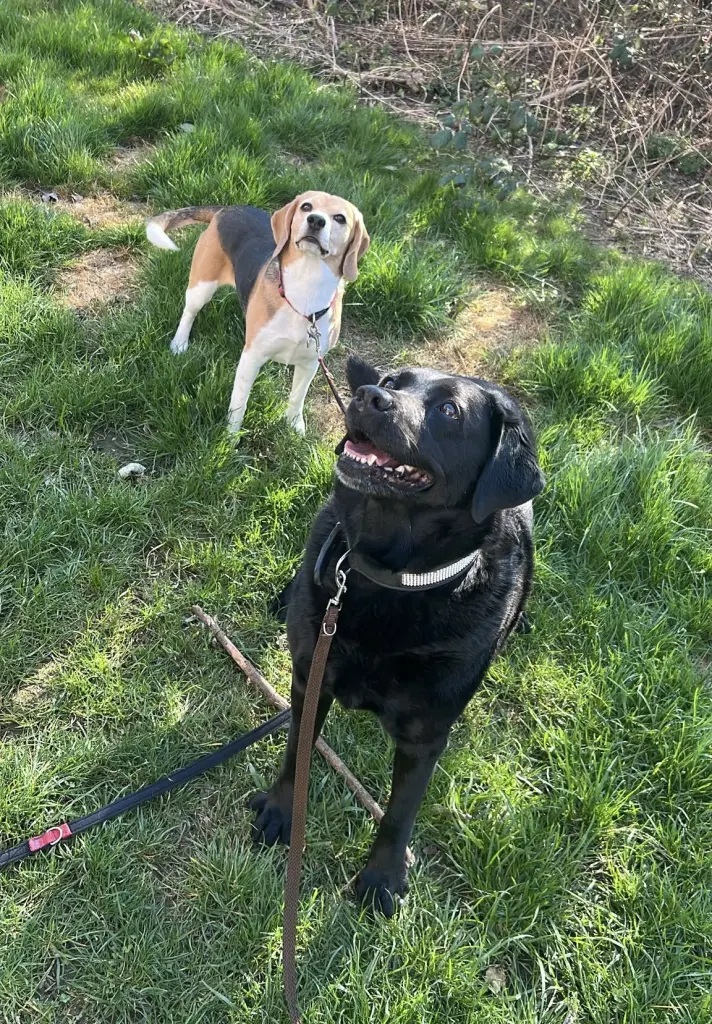 Andachtsbild von Christin und Emmi