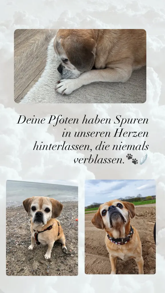 Andachtsbild von Kimberley Hahne