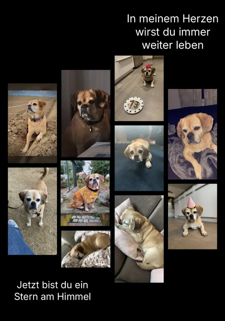 Andachtsbild von Julia Hahne