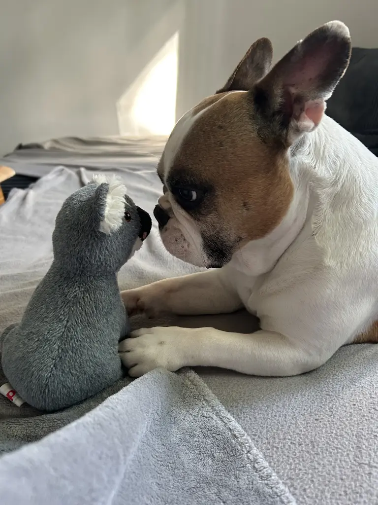 Andachtsbild von Lisa Stamm