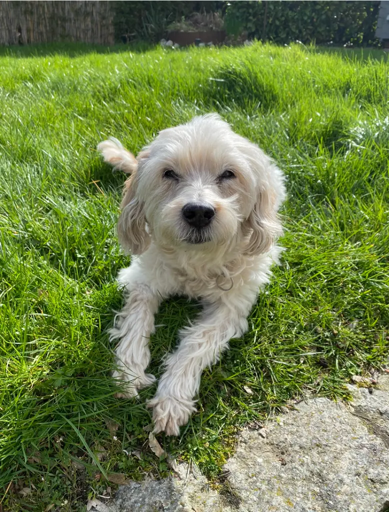 Bild von Wilma