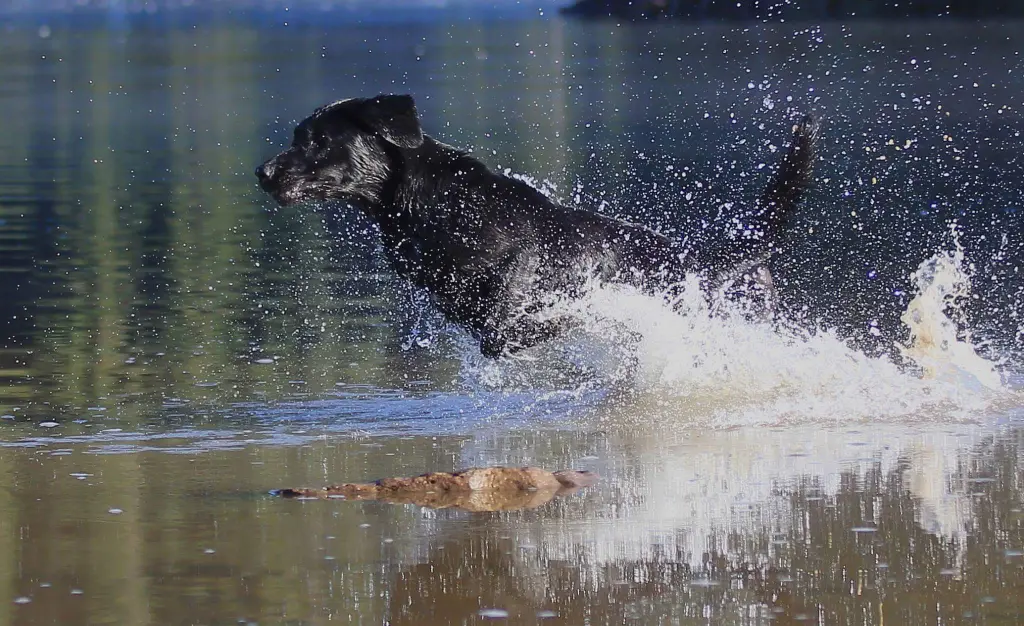 Für immer ein Teil von meinem Herzen!