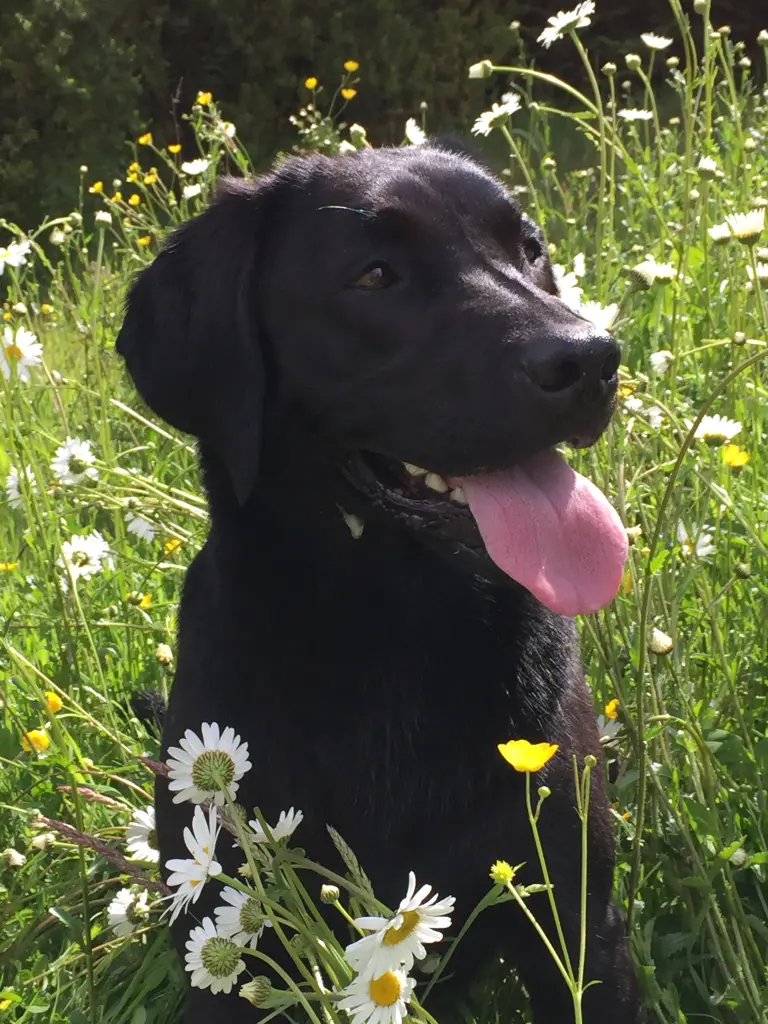 Irgendwann sehen wir uns wieder!