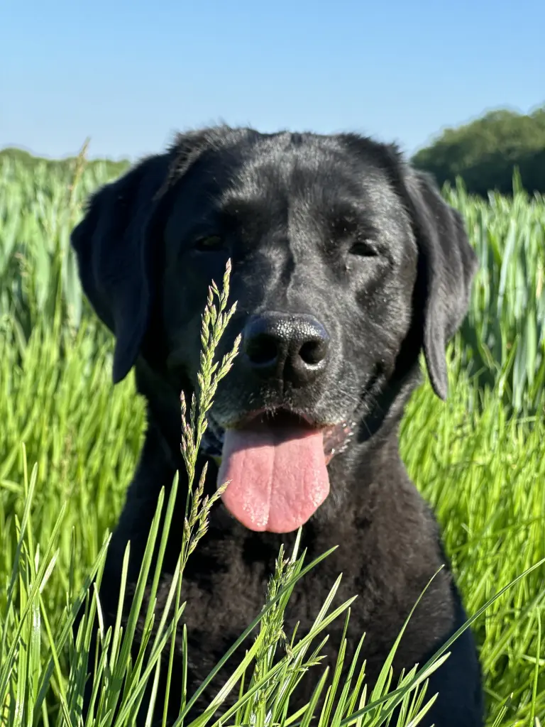 Ich werde Dich niemals vergessen!