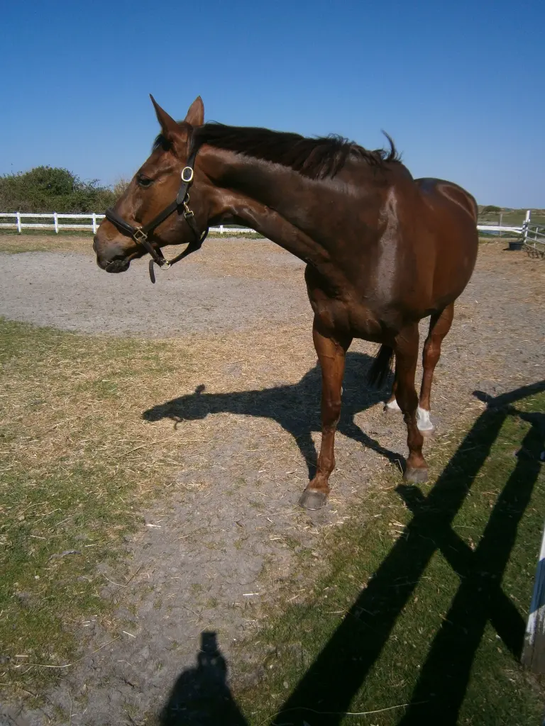 Andachtsbild von Annette und Luki