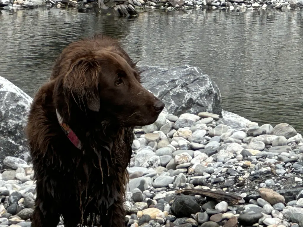 Andachtsbild von Anja