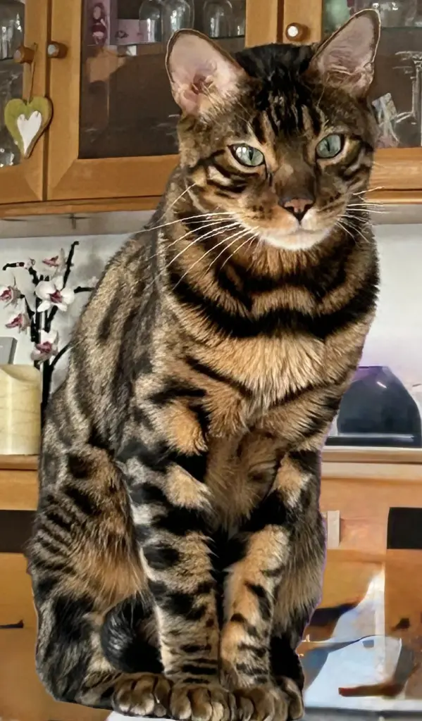 Beim Bügeln immer eine Hilfe