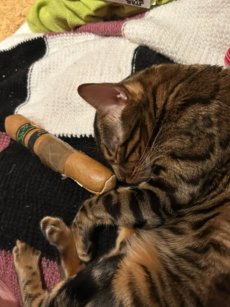 Seine Lieblings Zigarre .