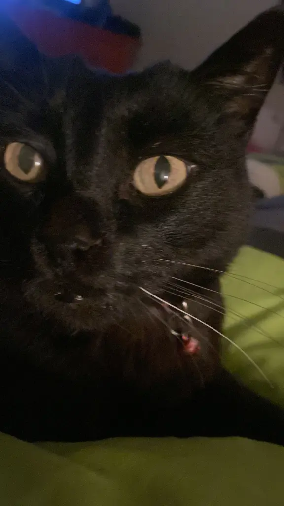 Andachtsbild von Marlis Tempel