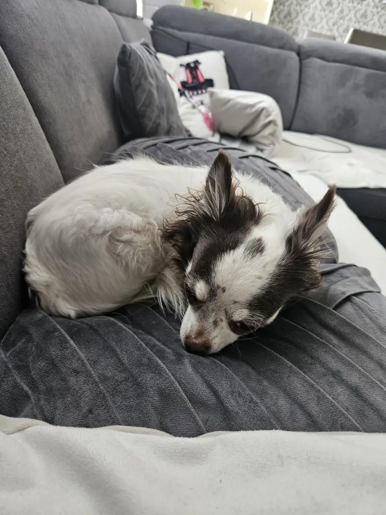 Andachtsbild von Christina Kando