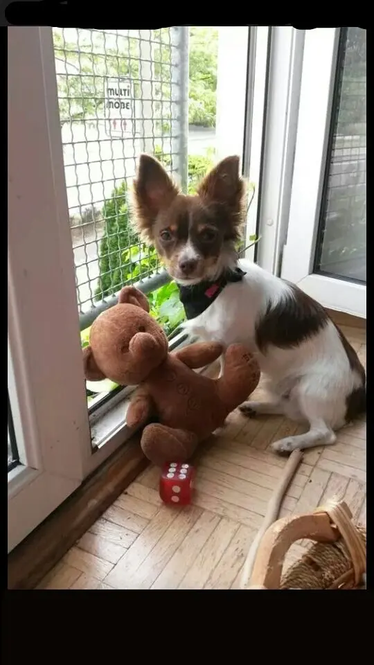 Du und dein Lieblingsteddy.