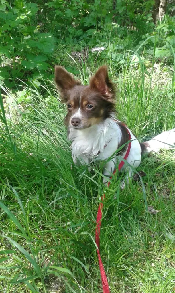 Du hast immer treu gewartet.