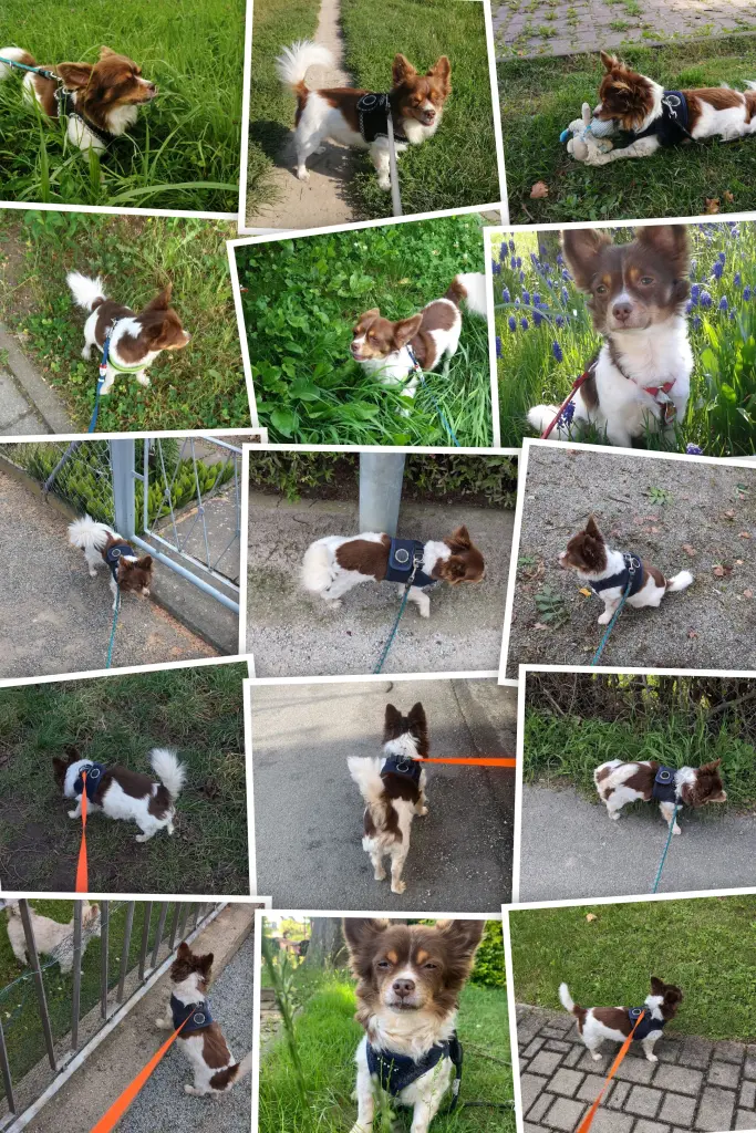 Am liebsten hätten wir noch viel mehr Bilder Hochgeladen.