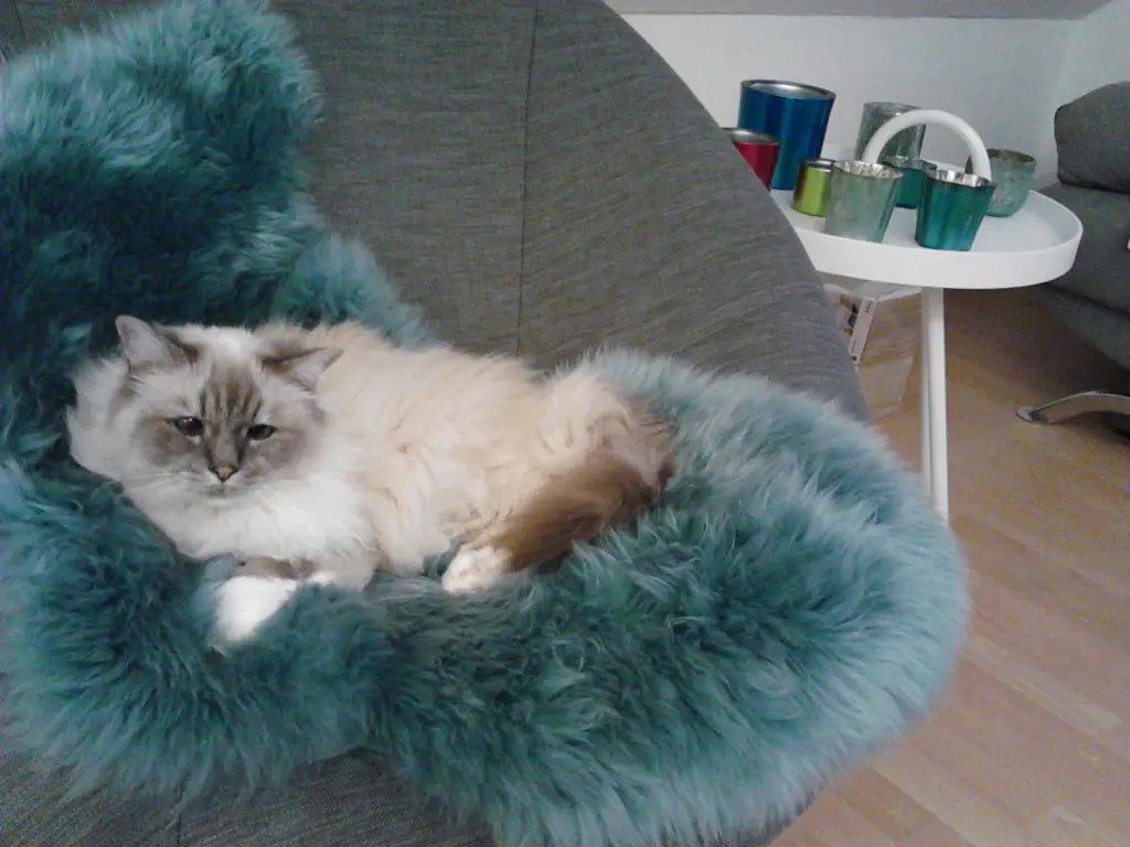 Andachtsbild von Angelika Ruhrus