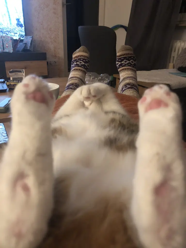 Feierabend-Ritual ❤️