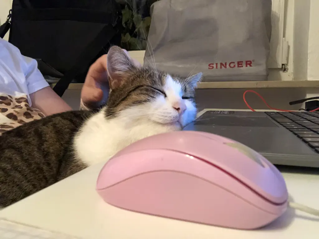 Homeoffice-Tag war unser Lieblingstag ❤️