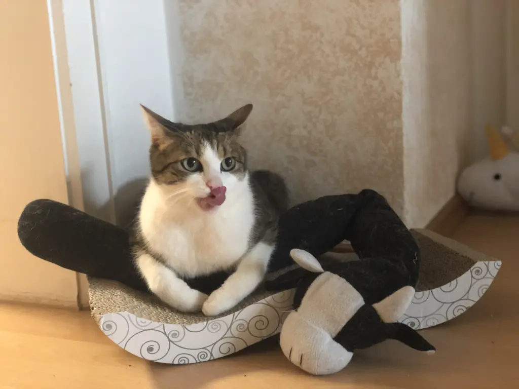 Deine Schnuffelrolle