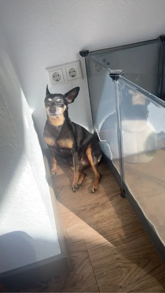 Andachtsbild von Tanja Bamberg