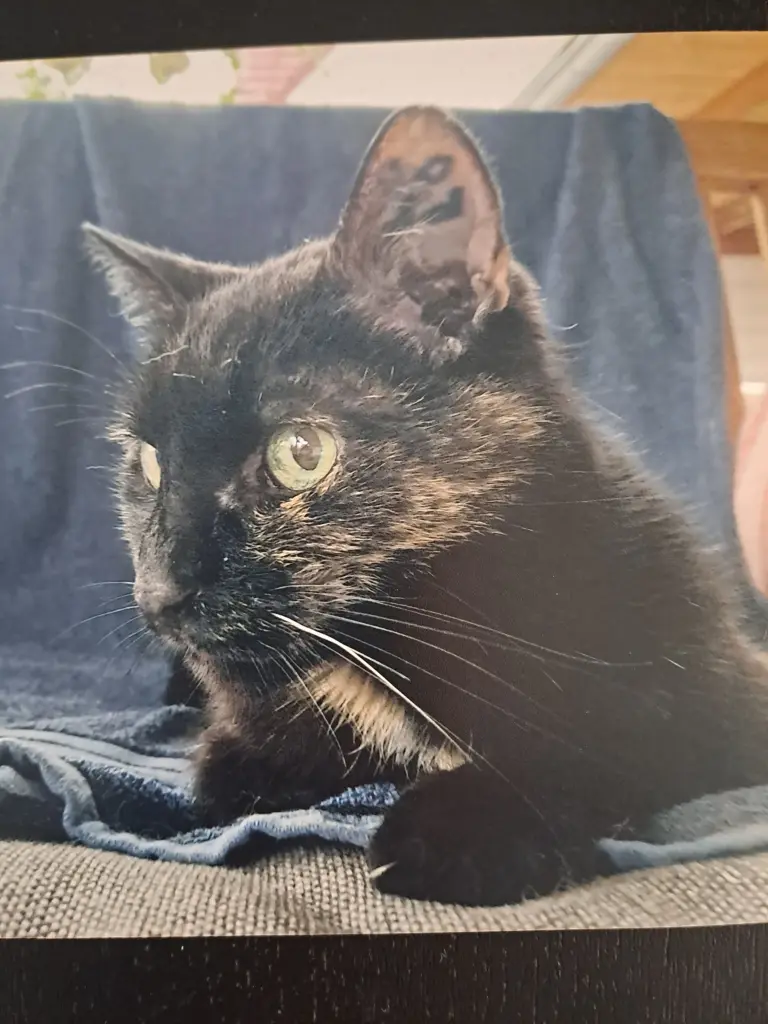 Andachtsbild von Olaf Döz