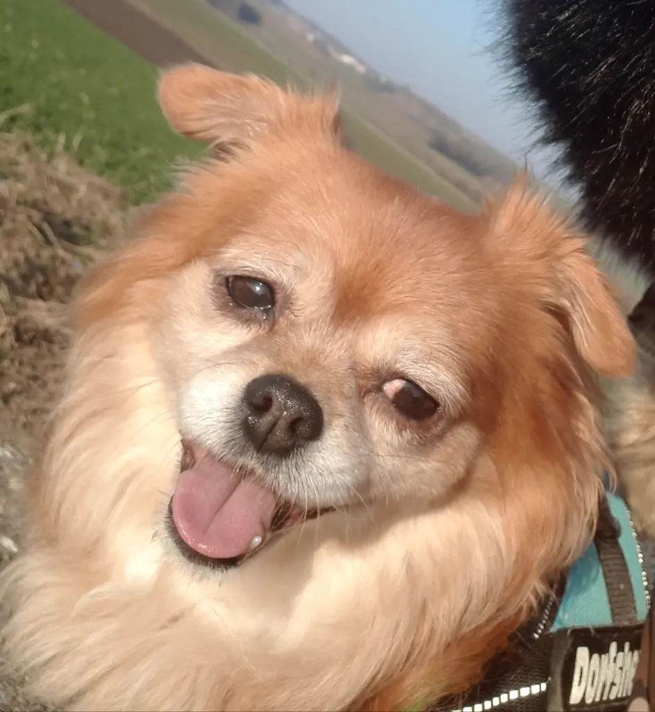 Andachtsbild von Evelyn Kobler-