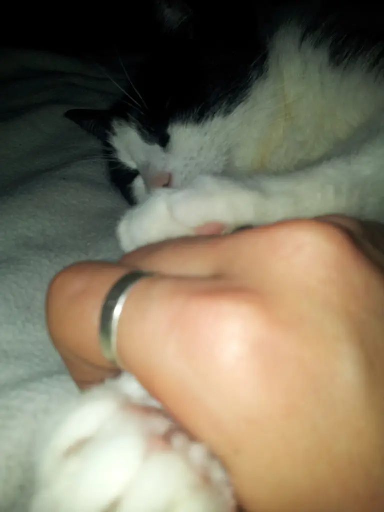 Image from Miss Sophie