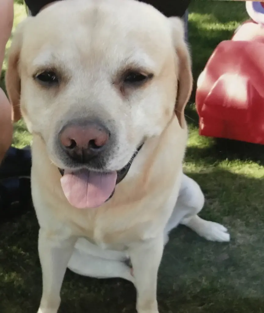 Condolence image of Elzbieta 