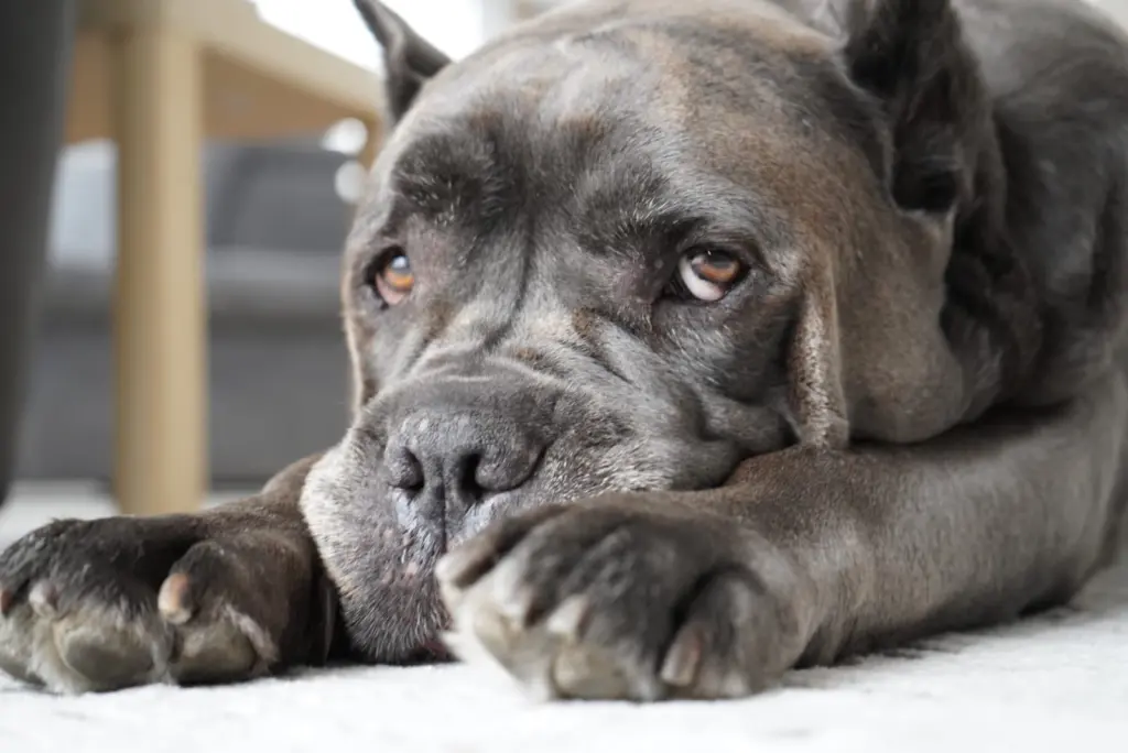 Andachtsbild von Olga Wachtel