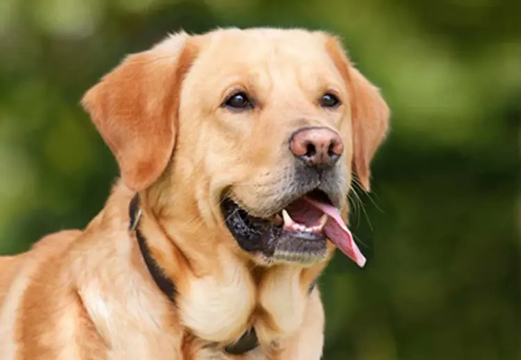 Condolence image of Stefanie 