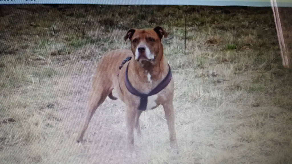 Condolence image of Manu und Pascal mit Louisa im Herzen gestorben 7.2.18