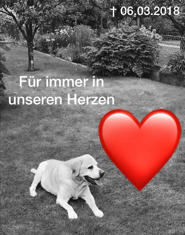Condolence image of Aleksandra mit Max im Herzen 