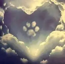 Condolence image of Aleksandra 