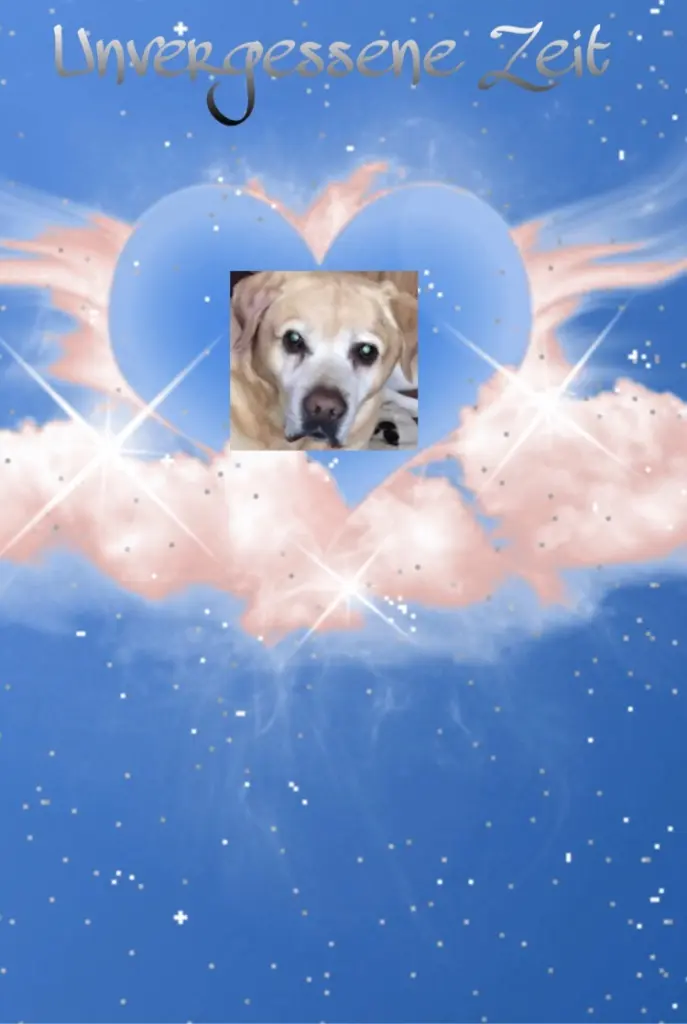 Condolence image of Aleksandra 